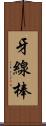 牙線棒 Scroll