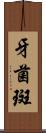 牙菌斑 Scroll
