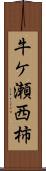 牛ケ瀬西柿 Scroll
