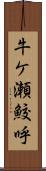 牛ケ瀬鮫呼 Scroll