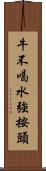 牛不喝水強按頭 Scroll