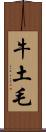 牛土毛 Scroll
