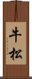 牛松 Scroll