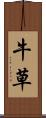 牛草 Scroll