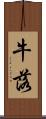 牛落 Scroll