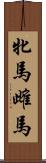 牝馬 Scroll