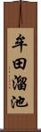 牟田溜池 Scroll