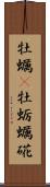 牡蠣(P) Scroll