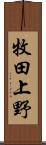 牧田上野 Scroll