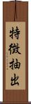 特徴抽出 Scroll