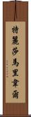 Teresa Maribel Scroll