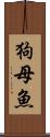 狗母魚 Scroll