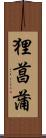 狸菖蒲 Scroll