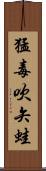 猛毒吹矢蛙 Scroll