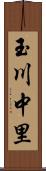 玉川中里 Scroll