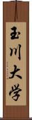 玉川大学 Scroll