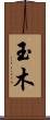 玉木 Scroll