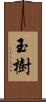 玉樹 Scroll