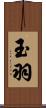 玉羽 Scroll