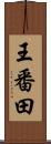王番田 Scroll