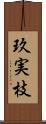 玖実枝 Scroll