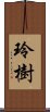 玲樹 Scroll