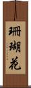 珊瑚花 Scroll