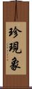 珍現象 Scroll