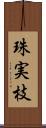 珠実枝 Scroll