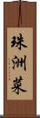 珠洲菜 Scroll