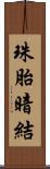 珠胎暗結 Scroll