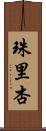 珠里杏 Scroll