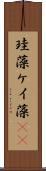 珪藻 Scroll
