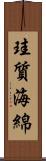 珪質海綿 Scroll