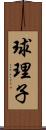 球理子 Scroll