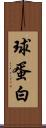 球蛋白 Scroll