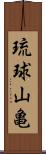 琉球山亀 Scroll