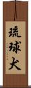 琉球犬 Scroll