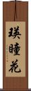 瑛瞳花 Scroll