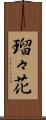 瑠々花 Scroll