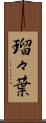 瑠々葉 Scroll