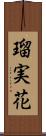 瑠実花 Scroll