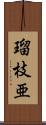 瑠枝亜 Scroll