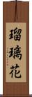 瑠璃花 Scroll