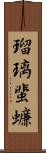 瑠璃蜚蠊 Scroll