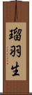 瑠羽生 Scroll