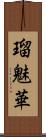 瑠魅華 Scroll