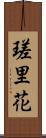 瑳里花 Scroll