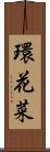 環花菜 Scroll