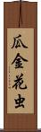 瓜金花虫 Scroll